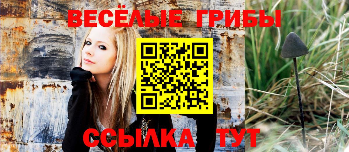 Псилоцибиновые грибы Magic Shrooms  Вход с VPN  закладка  Псилоцибиновые грибы MAGIC MUSHROOMS  Гагарин 