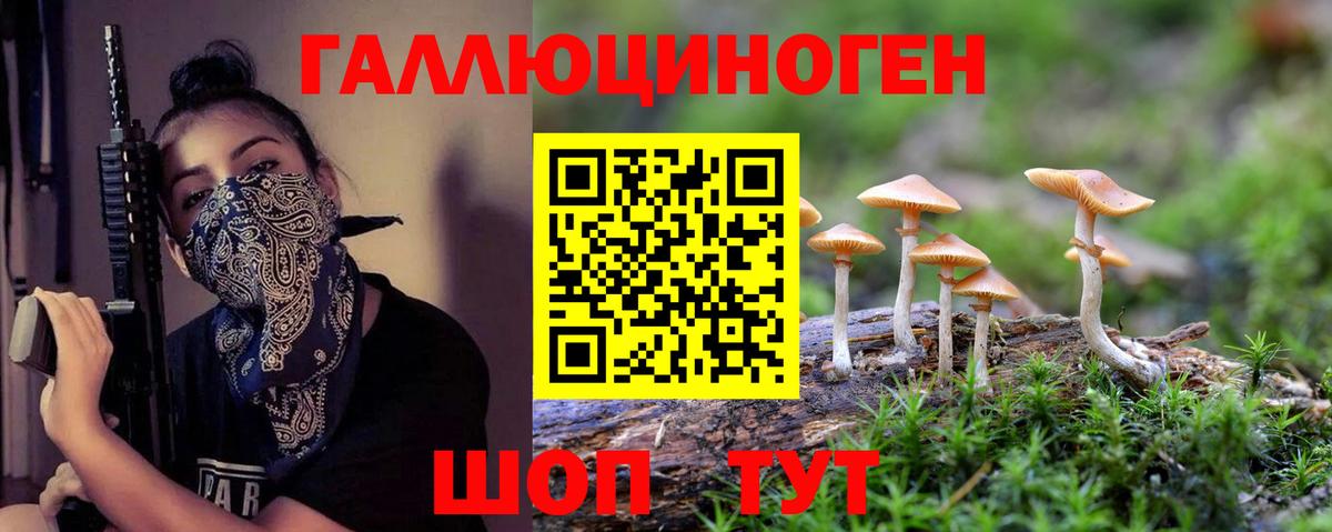 Галлюциногенные грибы Psilocybe  Гагарин 
